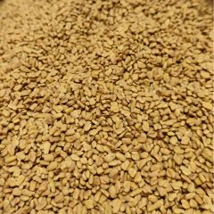 Paleolit Görögszénamag egész 25kg lédig Fenugreek seeds