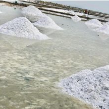 Paleolit Kelta tengeri só finom 40kg lédig 0,1-1,0mm Celtic bluesea salt fine