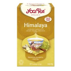 BIO Himalaya Chai tea 17x2g Yogi