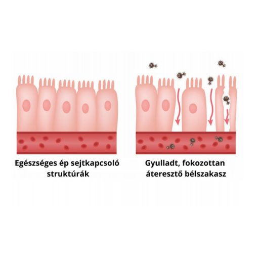 NapfényVitamin ColonBalance Plus problémaspecifikus probiotikum (60)