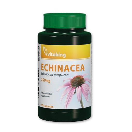 Echinacea 250mg (90) Bíbor kasvirág Vitaking