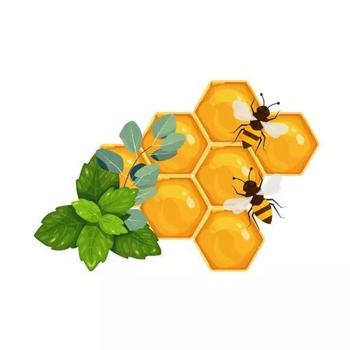 Natur Tanya® PROPOLSEPT mentás-eukaliptuszos szopogató tabletta 20db