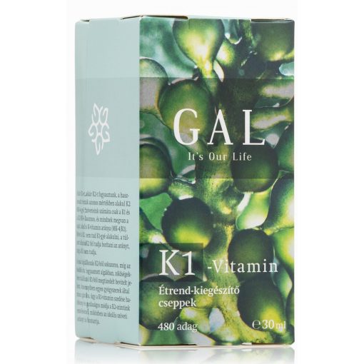 GAL K1-Vitamin 1000mcg K-vitamin x 480 adag