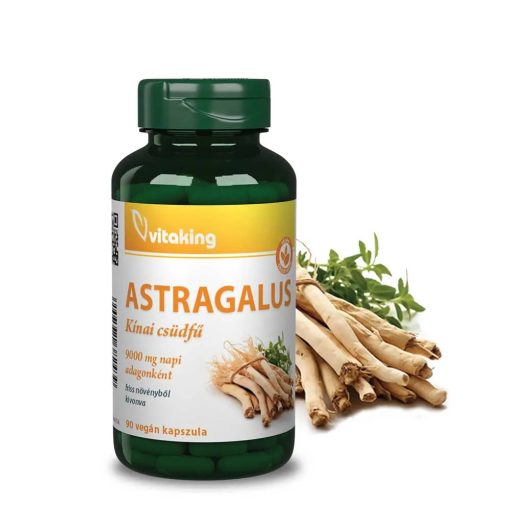 Vitaking Astragalus 9000mg/napi adag (90 ) vegán kapszula (Kínai csüdfű)