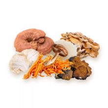 BIO 7-gomba keverék 60db kapszul BioMenü