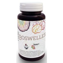 Freyagena FORTE BOSWELLEX 60 kapszula