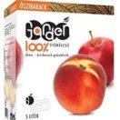 Gyümölcslevek, konzervek, italok